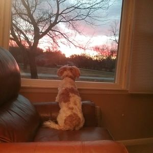 Meet your Posher, Bernice